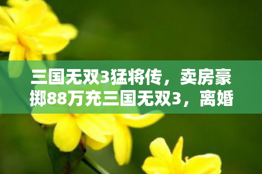 三国无双3猛将传,卖房豪掷88万充三国无双3,离婚协议藏惊天隐情! 三国无双3猛将传,卖房豪掷88万充三国无双3,离婚协议藏惊天隐情!