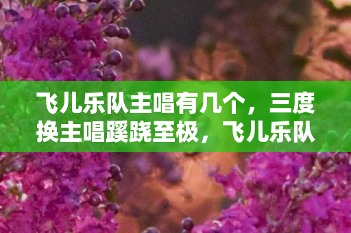 飞儿乐队主唱有几个,三度换主唱蹊跷至极,飞儿乐队背后故事让人后背发凉! 飞儿乐队主唱有几个,三度换主唱蹊跷至极,飞儿乐队背后故事让人后背发凉!