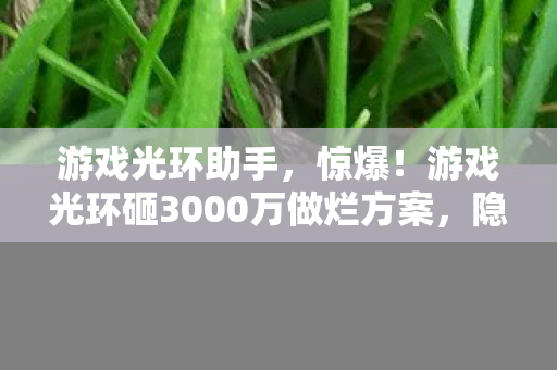 游戏光环助手,惊爆!游戏光环砸3000万做烂方案,隐情曝光后真让人吓一跳! 游戏光环助手,惊爆!游戏光环砸3000万做烂方案,隐情曝光后真让人吓一跳!