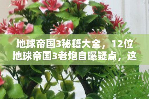 地球帝国3秘籍大全,12位地球帝国3老炮自曝疑点,这操作我绷不住了! 地球帝国3秘籍大全,12位地球帝国3老炮自曝疑点,这操作我绷不住了!