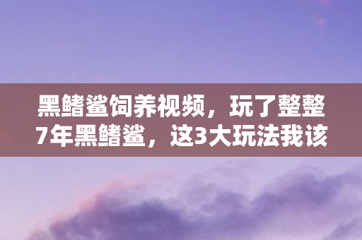黑鳍鲨饲养视频,玩了整整7年黑鳍鲨,这3大玩法我该坚守还是彻底告别? 黑鳍鲨饲养视频,玩了整整7年黑鳍鲨,这3大玩法我该坚守还是彻底告别?
