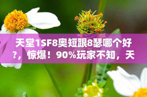 天堂1SF8奥短跟8瑟哪个好?，惊爆！90%玩家不知，天堂1sf多平台体验竟差300%！
