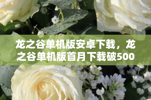 龙之谷单机版安卓下载,龙之谷单机版首月下载破500万!玩家用脚投票,这波情怀杀竟让端游IP价值暴涨300% 龙之谷单机版安卓下载,龙之谷单机版首月下载破500万!玩家用脚投票,这波情怀杀竟让端游IP价值暴涨300%