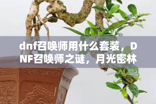 dnf召唤师用什么套装,DNF召唤师之谜,月光密林现神秘符文,悬案背后毛骨悚然真相 dnf召唤师用什么套装,DNF召唤师之谜,月光密林现神秘符文,悬案背后毛骨悚然真相