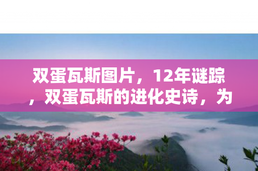 双蛋瓦斯图片，12年谜踪，双蛋瓦斯的进化史诗，为何让百万玩家泪目？