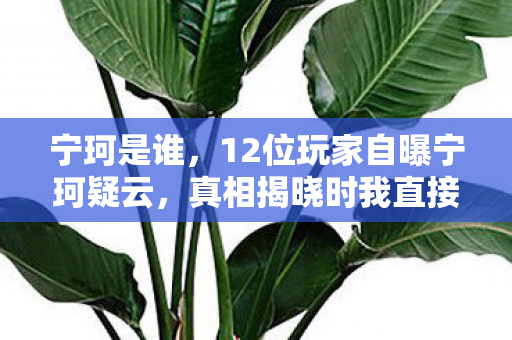 宁珂是谁,12位玩家自曝宁珂疑云,真相揭晓时我直接绷不住了! 宁珂是谁,12位玩家自曝宁珂疑云,真相揭晓时我直接绷不住了!