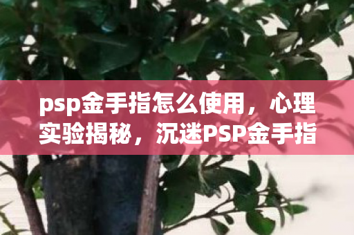 psp金手指怎么使用，心理实验揭秘，沉迷PSP金手指的细思极恐自我麻醉之旅
