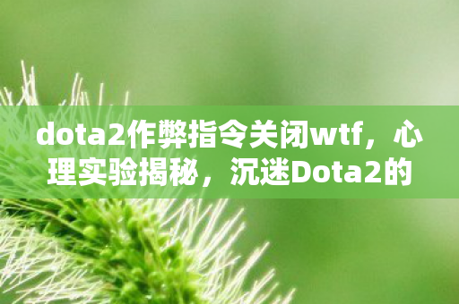 dota2作弊指令关闭wtf，心理实验揭秘，沉迷Dota2的细思极恐自我囚禁