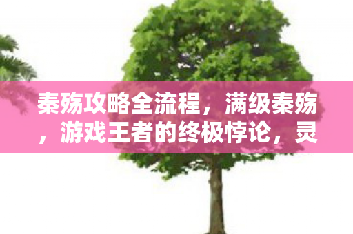 秦殇攻略全流程,满级秦殇,游戏王者的终极悖论,灵魂震颤于现实深渊的坠落 秦殇攻略全流程,满级秦殇,游戏王者的终极悖论,灵魂震颤于现实深渊的坠落