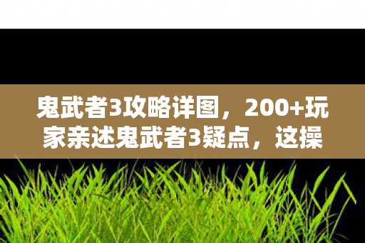鬼武者3攻略详图，200+玩家亲述鬼武者3疑点，这操作谁绷得住？网吧泪崩实录！