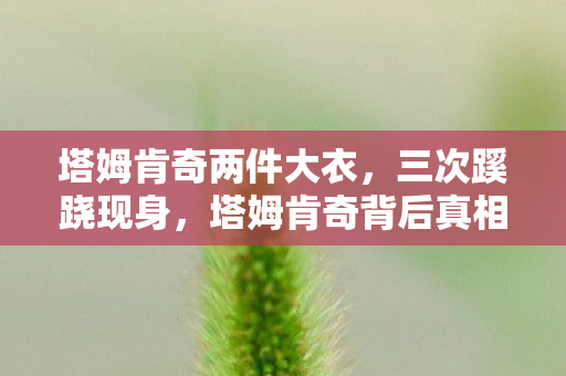 塔姆肯奇两件大衣,三次蹊跷现身,塔姆肯奇背后真相竟让人后背发凉! 塔姆肯奇两件大衣,三次蹊跷现身,塔姆肯奇背后真相竟让人后背发凉!