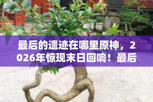 最后的遗迹在哪里原神，2026年惊现末日回响！最后的遗迹里藏着人类存亡的致命悬念？