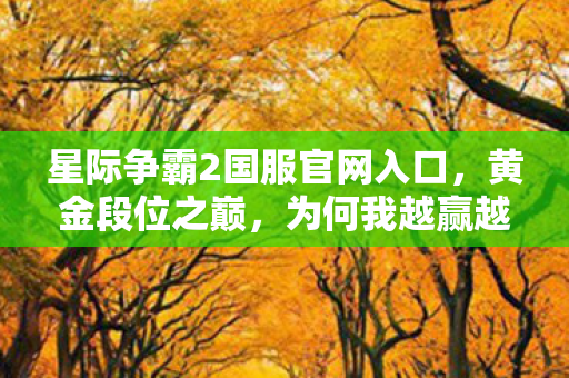 星际争霸2国服官网入口,黄金段位之巅,为何我越赢越输,灵魂震颤的悖论人生 星际争霸2国服官网入口,黄金段位之巅,为何我越赢越输,灵魂震颤的悖论人生