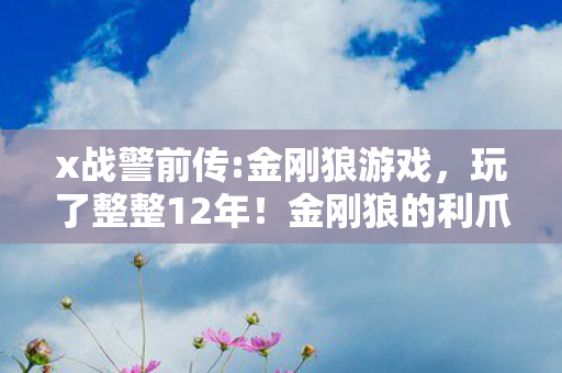 x战警前传:金刚狼游戏，玩了整整12年！金刚狼的利爪下，我该继续坚守还是转身离开？