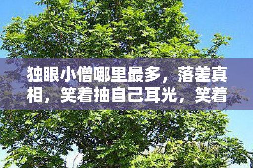 独眼小僧哪里最多,落差真相,笑着抽自己耳光,笑着笑着竟为独眼小僧哭了 独眼小僧哪里最多,落差真相,笑着抽自己耳光,笑着笑着竟为独眼小僧哭了