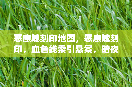 恶魔城刻印地图,恶魔城刻印,血色线索引悬案,暗夜回响藏毛骨悚然真相 恶魔城刻印地图,恶魔城刻印,血色线索引悬案,暗夜回响藏毛骨悚然真相