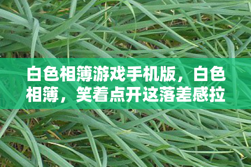 白色相簿游戏手机版，白色相簿，笑着点开这落差感拉满的真相，结果哭到被邻居报警