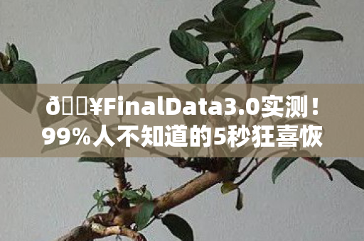 🔥FinalData3.0实测!99%人不知道的5秒狂喜恢复术! 🔥FinalData3.0实测!99%人不知道的5秒狂喜恢复术!