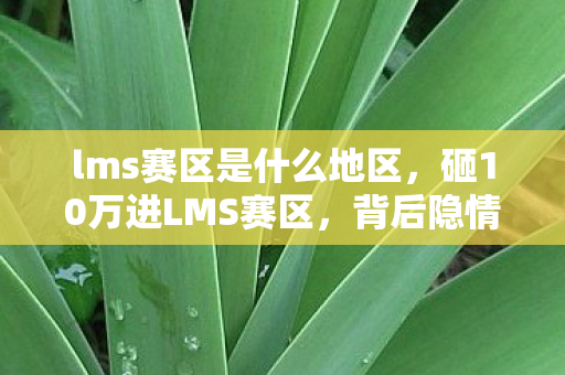 lms赛区是什么地区，砸10万进LMS赛区，背后隐情曝光，玩家钱包惊掉一地！