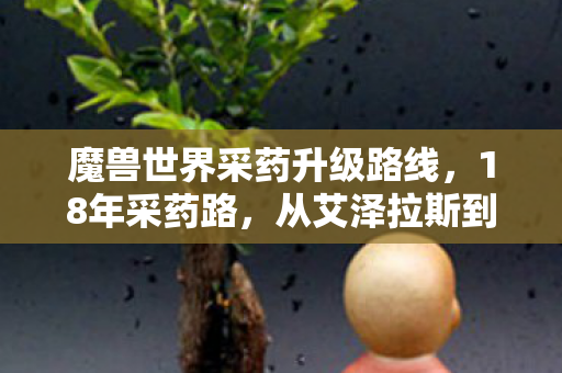 魔兽世界采药升级路线,18年采药路,从艾泽拉斯到暗影界,那些消失的草药为何让玩家泪目? 魔兽世界采药升级路线,18年采药路,从艾泽拉斯到暗影界,那些消失的草药为何让玩家泪目?