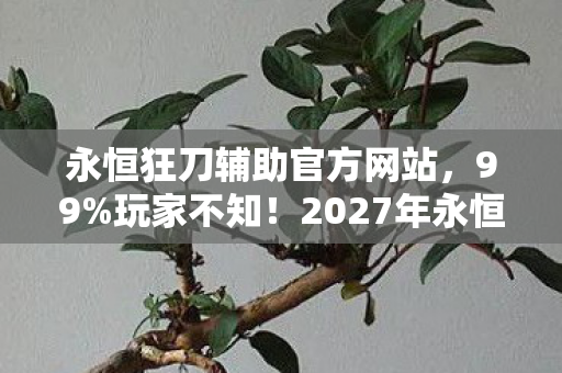 永恒狂刀辅助官方网站,99%玩家不知!2027年永恒狂刀辅助竟藏着这等逆天玄机? 永恒狂刀辅助官方网站,99%玩家不知!2027年永恒狂刀辅助竟藏着这等逆天玄机?