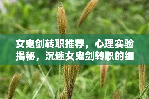 女鬼剑转职推荐,心理实验揭秘,沉迷女鬼剑转职的细思极恐真相 女鬼剑转职推荐,心理实验揭秘,沉迷女鬼剑转职的细思极恐真相