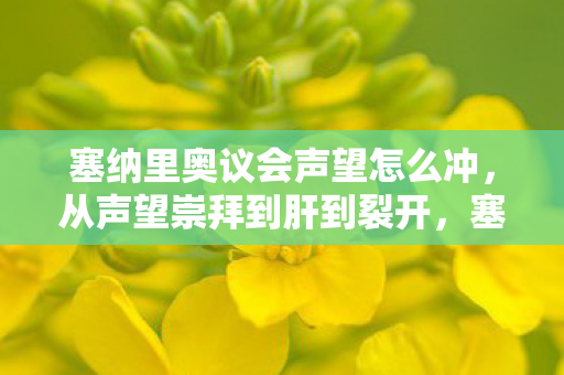塞纳里奥议会声望怎么冲,从声望崇拜到肝到裂开,塞纳里奥议会的落差真相,笑着笑着就哭了 塞纳里奥议会声望怎么冲,从声望崇拜到肝到裂开,塞纳里奥议会的落差真相,笑着笑着就哭了