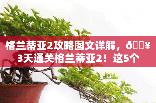 格兰蒂亚2攻略图文详解,🔥3天通关格兰蒂亚2!这5个隐藏技巧让我爽到飞起💥 格兰蒂亚2攻略图文详解,🔥3天通关格兰蒂亚2!这5个隐藏技巧让我爽到飞起💥