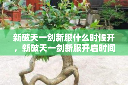 新破天一剑新服开启时间预告图片