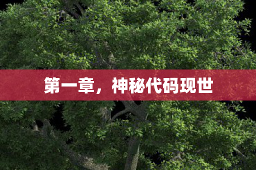 第一章，神秘代码现世