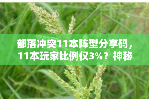 部落冲突11本阵型分享码,11本玩家比例仅3%?神秘阵型背后,藏着多少扎心的资源焦虑! 部落冲突11本阵型分享码,11本玩家比例仅3%?神秘阵型背后,藏着多少扎心的资源焦虑!