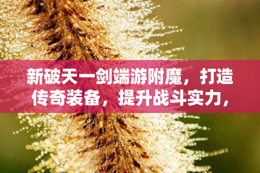 新破天一剑端游附魔图片