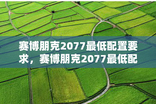 赛博朋克2077最低配置要求，赛博朋克2077最低配置暗藏悬案，线索交织，毛骨悚然真相待揭