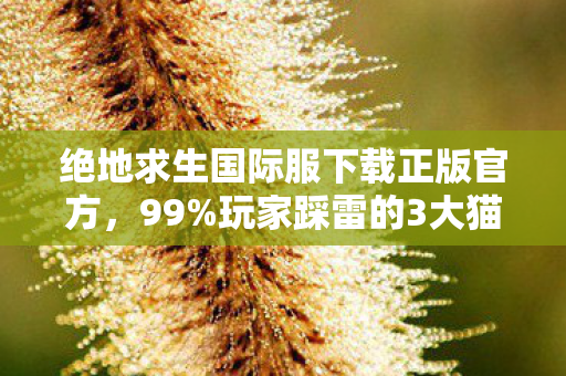 绝地求生国际服下载正版官方，99%玩家踩雷的3大猫腻！这破游戏现在玩比吃榴莲还上头？