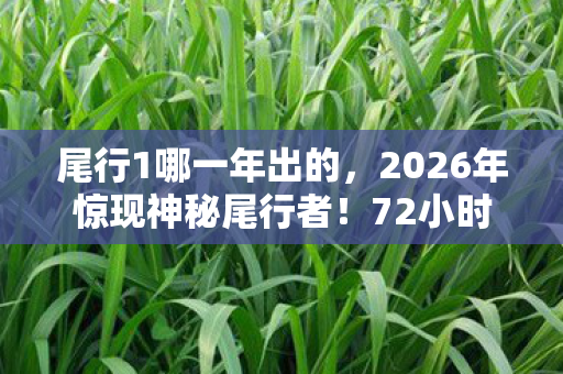 尾行1哪一年出的,2026年惊现神秘尾行者!72小时追踪竟揭开惊天秘密? 尾行1哪一年出的,2026年惊现神秘尾行者!72小时追踪竟揭开惊天秘密?