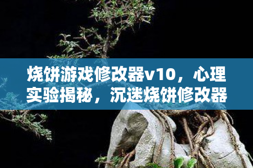 烧饼游戏修改器v10，心理实验揭秘，沉迷烧饼修改器六年，细思极恐的自我麻醉之旅
