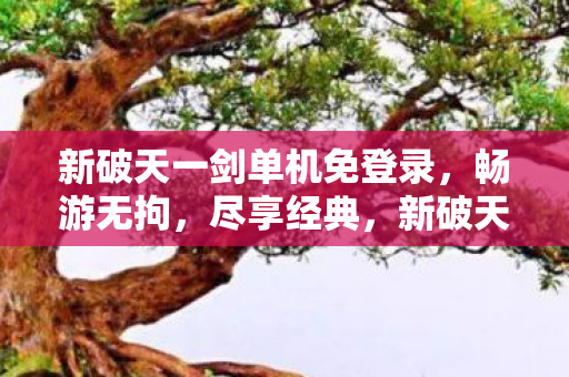 新破天一剑单机免登录，畅游无拘，尽享经典，新破天一剑单机版，免登录畅游，尽享经典游戏乐趣
