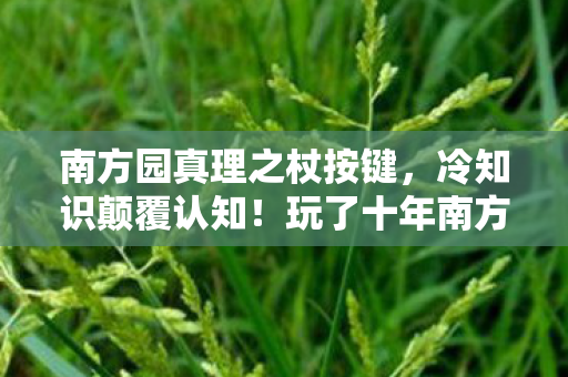 南方园真理之杖按键,冷知识颠覆认知!玩了十年南方公园,真理之杖竟目瞪口呆发现…… 南方园真理之杖按键,冷知识颠覆认知!玩了十年南方公园,真理之杖竟目瞪口呆发现……