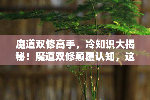 魔道双修高手,冷知识大揭秘!魔道双修颠覆认知,这些设计细节让你目瞪口呆! 魔道双修高手,冷知识大揭秘!魔道双修颠覆认知,这些设计细节让你目瞪口呆!