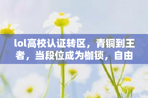 lol高校认证转区,青铜到王者,当段位成为枷锁,自由意志在算法牢笼中灵魂震颤 lol高校认证转区,青铜到王者,当段位成为枷锁,自由意志在算法牢笼中灵魂震颤