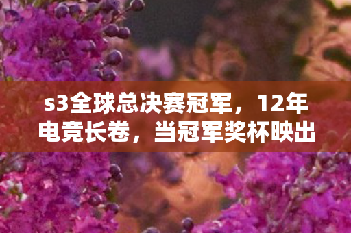 s3全球总决赛冠军,12年电竞长卷,当冠军奖杯映出少年白发,谁在续写未完的谜面? s3全球总决赛冠军,12年电竞长卷,当冠军奖杯映出少年白发,谁在续写未完的谜面?