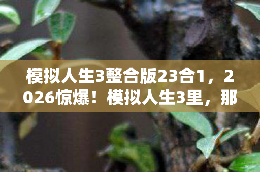 模拟人生3整合版23合1,2026惊爆!模拟人生3里,那场跨越虚拟的等你,让我鼻子一酸 模拟人生3整合版23合1,2026惊爆!模拟人生3里,那场跨越虚拟的等你,让我鼻子一酸