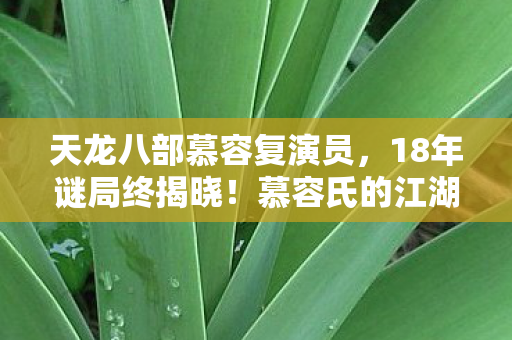 天龙八部慕容复演员，18年谜局终揭晓！慕容氏的江湖绝唱为何让百万玩家泪目？