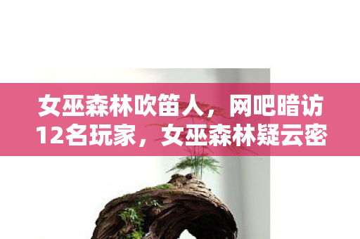 女巫森林吹笛人，网吧暗访12名玩家，女巫森林疑云密布，他们为何集体绷不住？