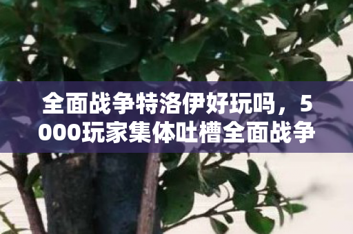 全面战争特洛伊好玩吗，5000玩家集体吐槽全面战争特洛伊疑点，策划绷不住了！
