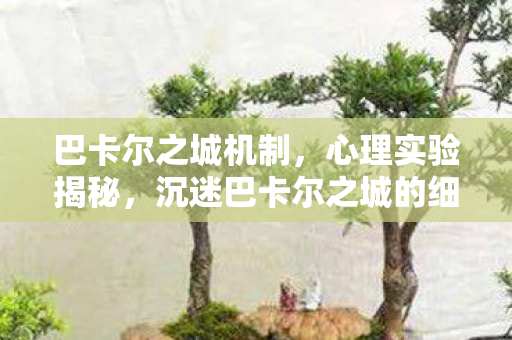巴卡尔之城机制，心理实验揭秘，沉迷巴卡尔之城的细思极恐自我麻醉之旅