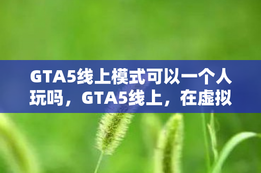 GTA5线上模式可以一个人玩吗，GTA5线上，在虚拟王座与血色囚笼间，自由是命运最残酷的谎言？