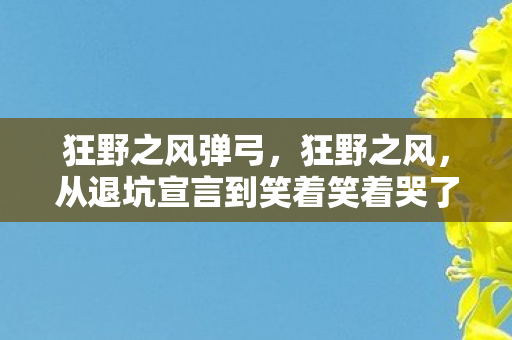 狂野之风弹弓，狂野之风，从退坑宣言到笑着笑着哭了，落差背后藏着的真相