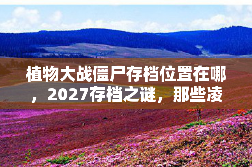 植物大战僵尸存档位置在哪，2027存档之谜，那些凌晨三点的等你，竟藏着鼻子一酸的伏笔
