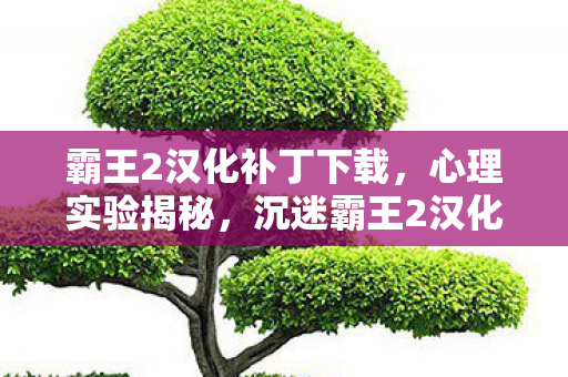 霸王2汉化补丁下载，心理实验揭秘，沉迷霸王2汉化补丁竟是多巴胺的细思极恐陷阱